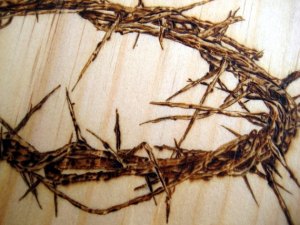 crown of thorns