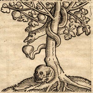 tree-of-knowledge-death
