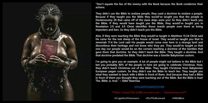 11415534_10205414839102935_7713438677915738847_o