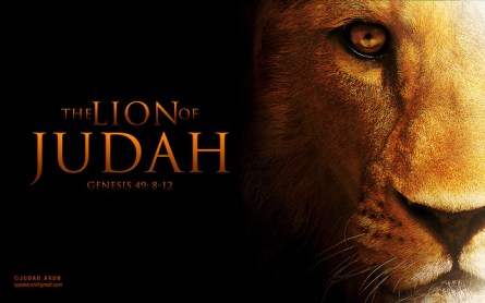 lion of judah
