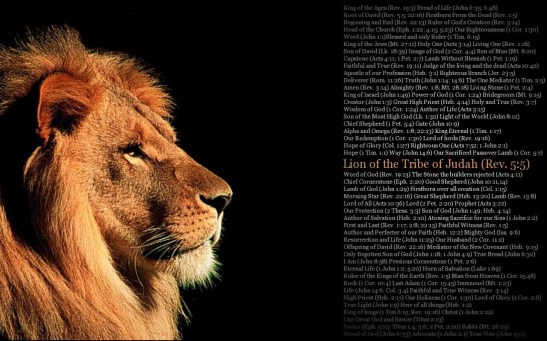 lion_tribe_judah