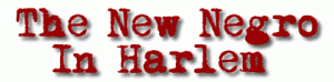 new negro