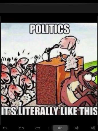 politics