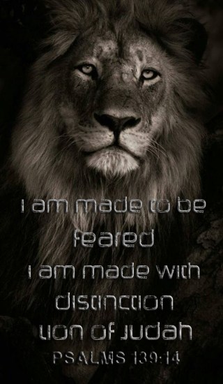 beautiful lion of Judah