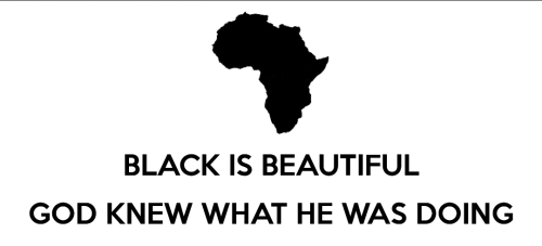 tumblr_ncn77e43Pd1th942lo1_500